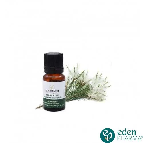 ALMAFLORE HUILE ESSENTIELLE ARBRE À THE 10ML