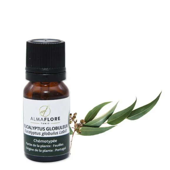 ALMAFLORE HUILE ESSENTIELLE DE EUCALYPTUS GLOBULEUX 10ML