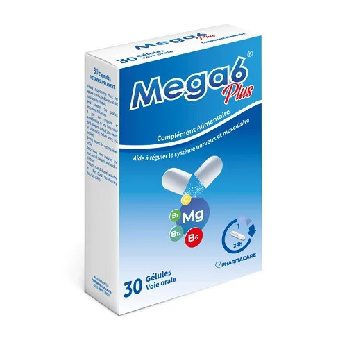 PHARMACARE MEGA 6 PLUS 30 COMPRIMES